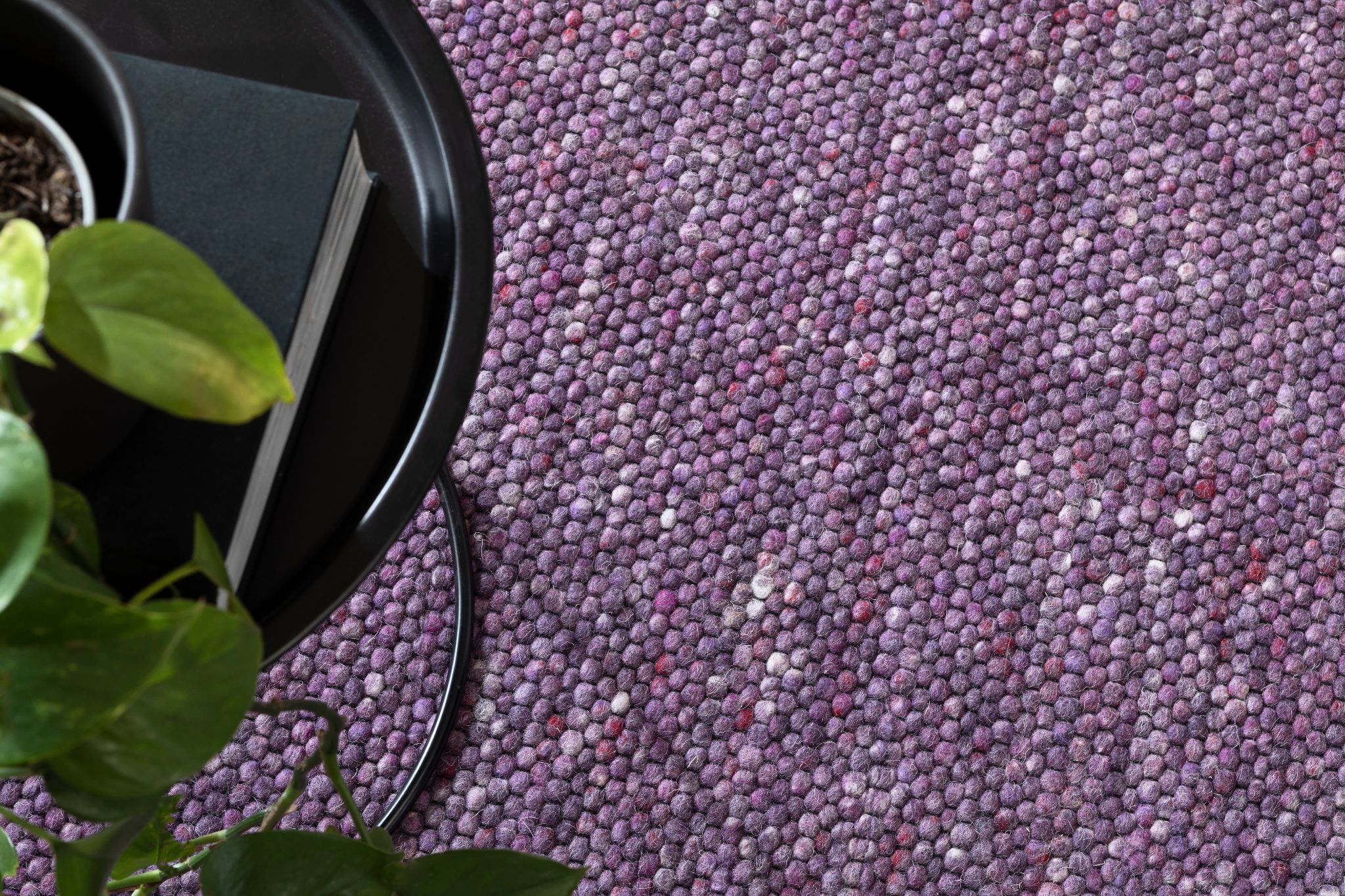 Orlando Florida 7776 Plum 002  Tisca 009.1 HA